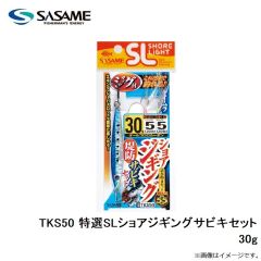 ササメ　TKS50 特選SLショアジギングサビキセット 30g