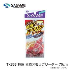 ササメ　TKS58 特選 直感オモリグリーダー 70cm