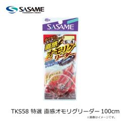 ササメ　TKS58 特選 直感オモリグリーダー 100cm