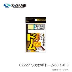 ササメ　CZ227 ワカサギドーム60 1-0.3