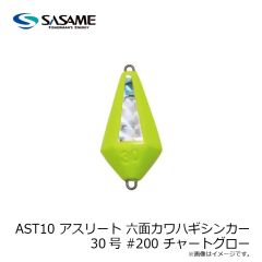 ササメ　AST10 アスリート 六面カワハギシンカー 30号 #185 フルグロー