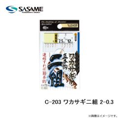 ササメ　C-203 ワカサギ二組 2-0.3