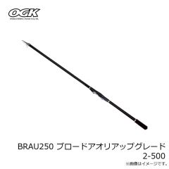 大阪漁具　BRAU250 ブロードアオリアップグレード 2-500