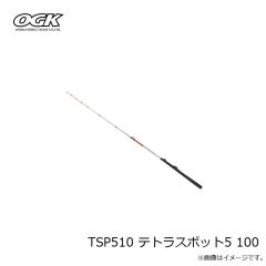 大阪漁具　TSP510 テトラスポット5 100