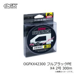 大阪漁具　OGFKX42300 フルブラックPE X4 2号 300m