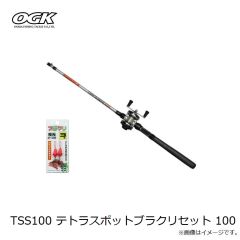 大阪漁具　TSS100 テトラスポットブラクリセット 100