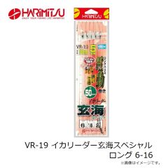ハリミツ　VR-19 イカリーダー玄海スペシャル ロング 6-16