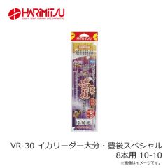 ハリミツ　VR-31 イカリーダー玄海スペシャル ミドル 6-16