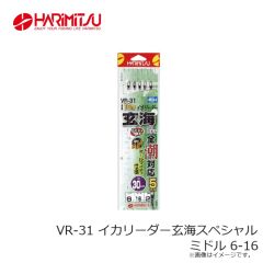 ハリミツ　VR-31 イカリーダー玄海スペシャル ミドル 6-16