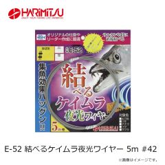 ハリミツ　E-52 結べるケイムラ夜光ワイヤー 5m #42
