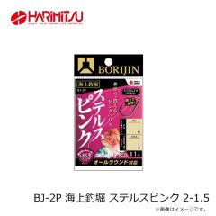 デュオ　ポケモンフィッシング BCCP031 ピカチュウ J アイアンテール