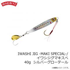 MBJ06 イワシジグ マキスペ 30g 02 シルバーグローテール
