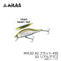 山波商店　MYL02 A2フラット45S 02 リアルアマゴ
