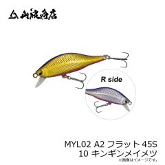 山波商店　MYL02 A2フラット45S 10 キンギンメイメツ