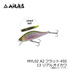 山波商店　MYL02 A2フラット45S 13 リアルオイカワ