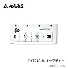 山波商店　MYT01A 鮎 キャプチャー