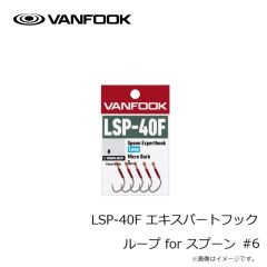 ヴァンフック　LSP-40F エキスパートフック ループ for スプーン #6