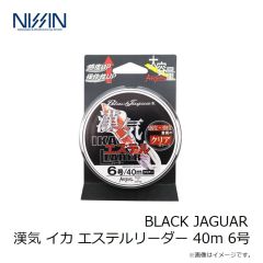 宇崎日新　BLACK JAGUAR 漢気 イカ エステルリーダー 40m 6号