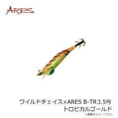 宇崎日新　ワイルドチェイス×ARES B-TR 3.5号 トロピカルゴールド