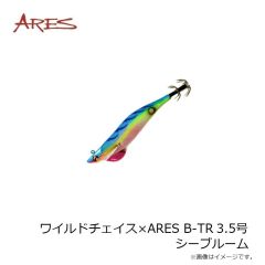 宇崎日新　ワイルドチェイス×ARES B-TR 3.5号 シーブルーム