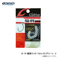 オーナー   B-75 脇刺フック フォレストグリーン　2