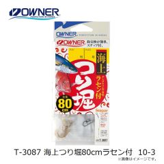 オーナー　T-3087 海上つり堀80cmラセン付 10-3