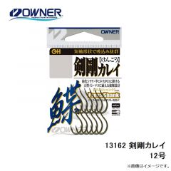 オーナー　13162 剣剛カレイ 12号