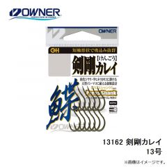 オーナー　13162 剣剛カレイ 13号