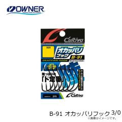 オーナー  B-91 オカッパリフック 3/0