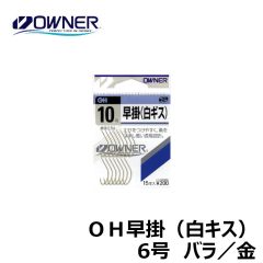 オーナー　ＯＨ早掛（白キス）　バラ　6号