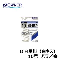 オーナー　ＯＨ早掛（白キス）　バラ　10号