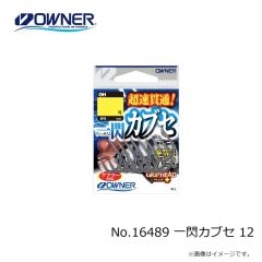 オーナー　No.16489 一閃カブセ 12