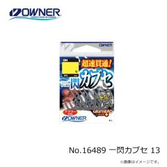 オーナー　No.16489 一閃カブセ 12