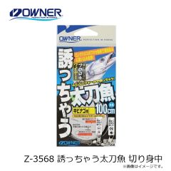 オーナー　Z-3568 誘っちゃう太刀魚 切り身中