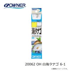 オーナー　20062 OH 白海タナゴ 6-1