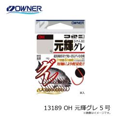 オーナー　13189 OH 元輝グレ 5号