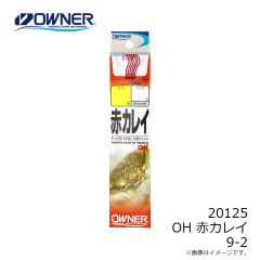 オーナー　20122 OH 発光カレイ グリーン 16-6