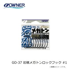 オーナー   撃投機動バッグ2