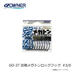 オーナー   撃投機動バッグ2