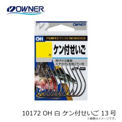 オーナー　10060 うなぎ 17号