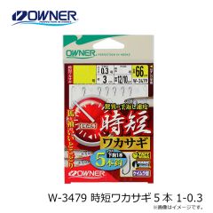 オーナー　W-3479 時短ワカサギ5本 1-0.3