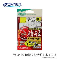 オーナー　W-3480 時短ワカサギ7本 1-0.3