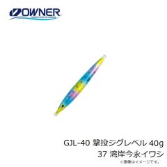 オーナー　WJB-20 投技ジグ20g 76 チャートバック半ゼブラ