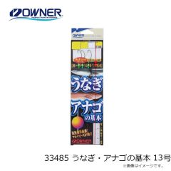 オーナー　33485 うなぎ・アナゴの基本 13号