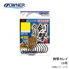 16630 剣撃カレイ 13号
