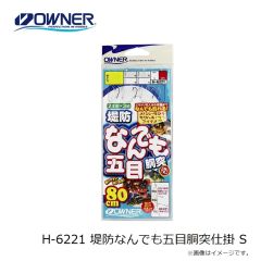 オーナー　H-6221 堤防なんでも五目胴突仕掛 S