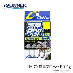 オーナー　JH-70 湾岸プロヘッド 0.6g