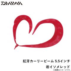 紅牙カーリービーム 5.5インチ 岩イソメレッド