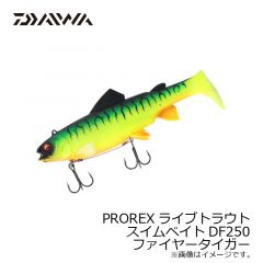 ダイワ (Daiwa)　PROREX ライブトラウトスイムベイトDF 25　ファイヤータイガー