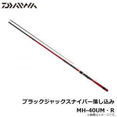ダイワ　ブラックジャックスナイパー落し込み MH-40UM・R
